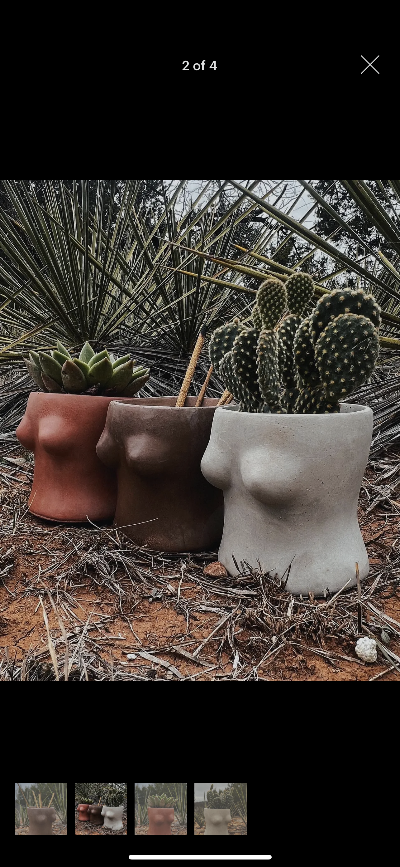 Boobie Planter